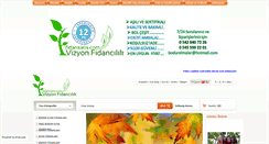 Desktop Screenshot of fidansatis.com